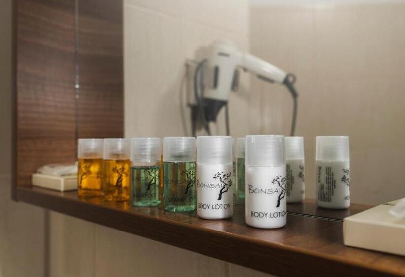 اتاق لوکس یک تخته, Penzion Dvořákova