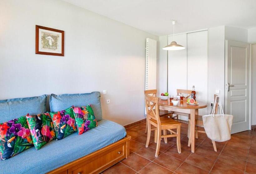 סטודיו סטנדרט עם מרפסת, Résidence Pierre & Vacances Les Rives De La Seugne