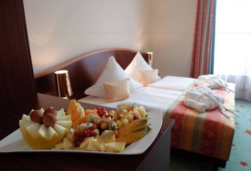 비즈니스룸, Stadthotel Stern