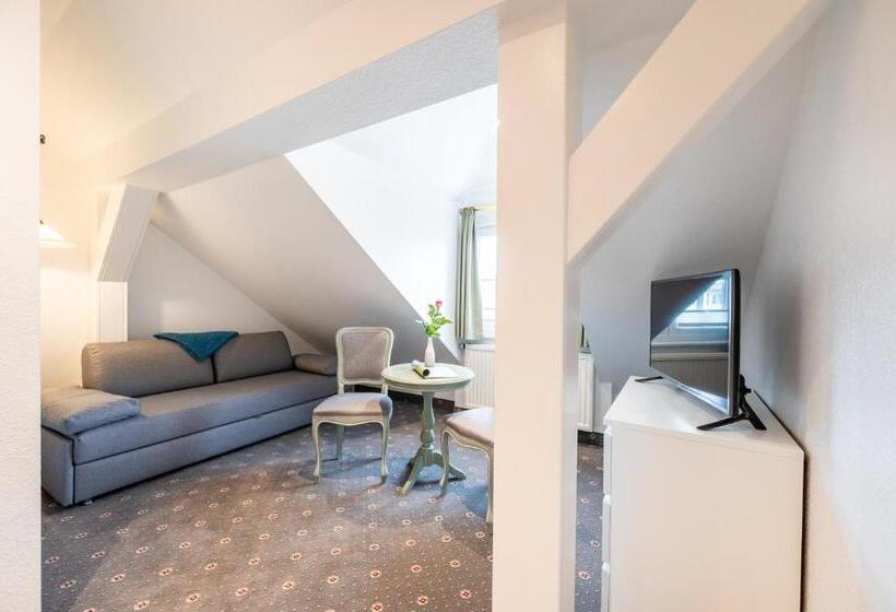 شقة غرفة واحدة, Villa Neander