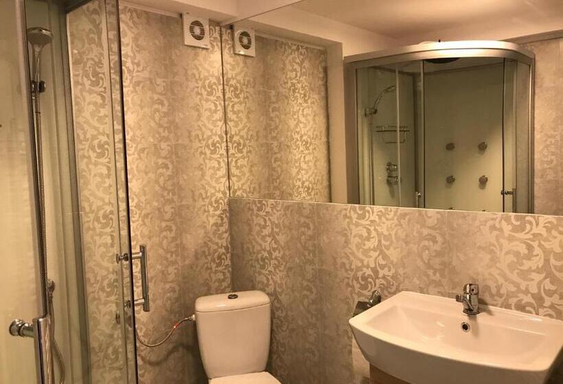 标准间, Pensiunea Otopeni