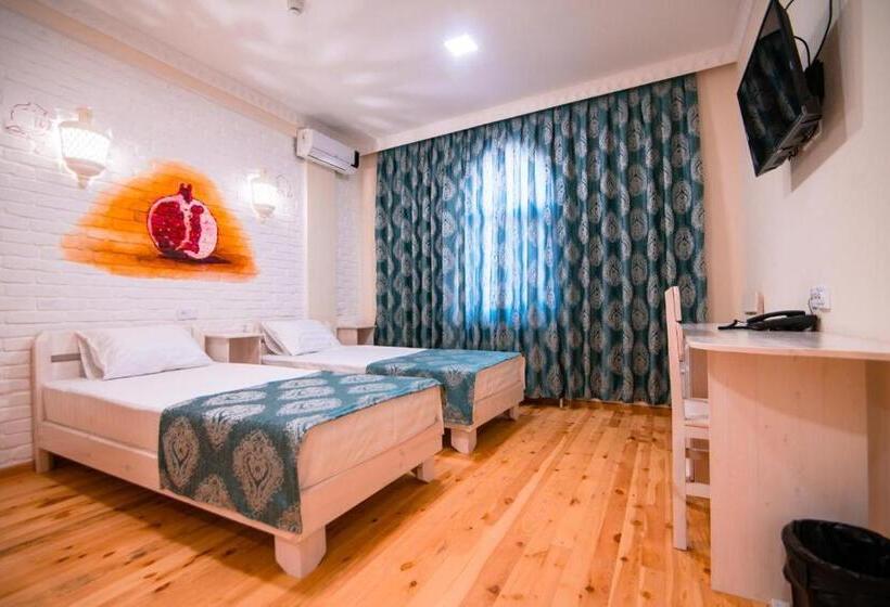 غرفة قياسية, Anor