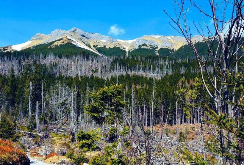 شقة غرفة نوم واحدة مزودة بشُرفة, Apartment Peak Apartmany Bernard Stary Smokovec