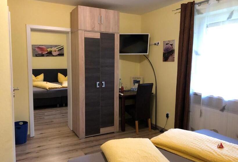Номер Стандарт, Pension Elan