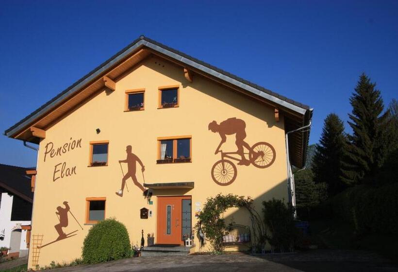 Люкс 2 Спальни, Pension Elan