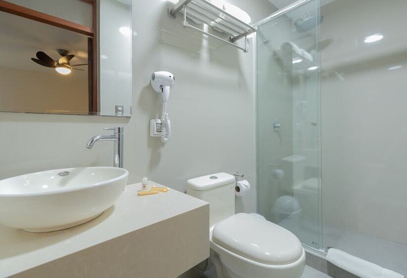 اتاق استاندارد یک نفره, Alexander