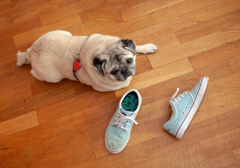 スタンダードシングルルーム, Sleeplicity London Heathrow