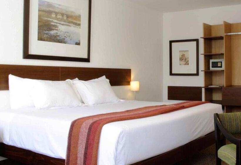 스탠다드 싱글 룸, Tierra Viva Arequipa Plaza