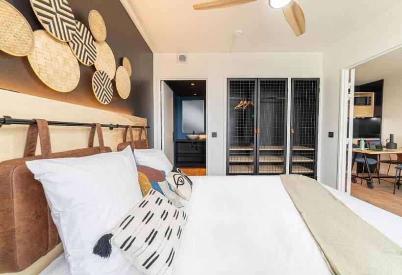 Апартаменты 1 Спальня, Cowool Toulouse