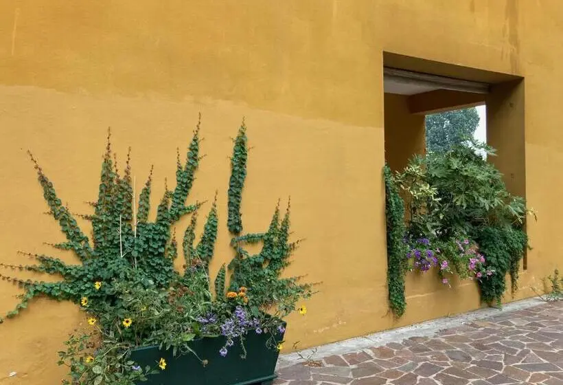 スタンダードルーム, La Casa Gialla