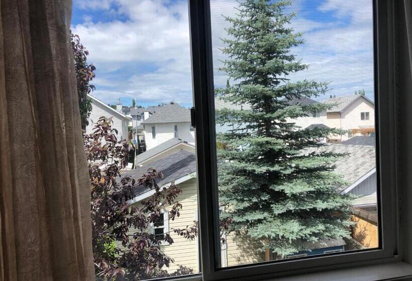 Standardzimmer, Hidden Valley Treehouse Home!