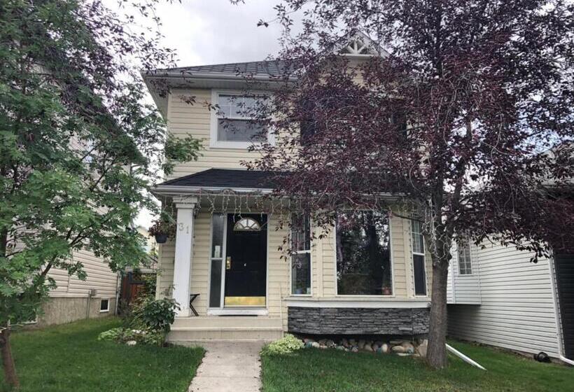 غرفة قياسية, Hidden Valley Treehouse Home!