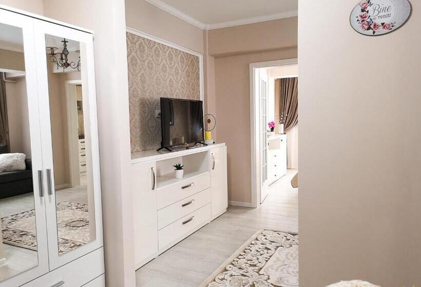 带1个卧室的高级公寓, Yns Apartaments