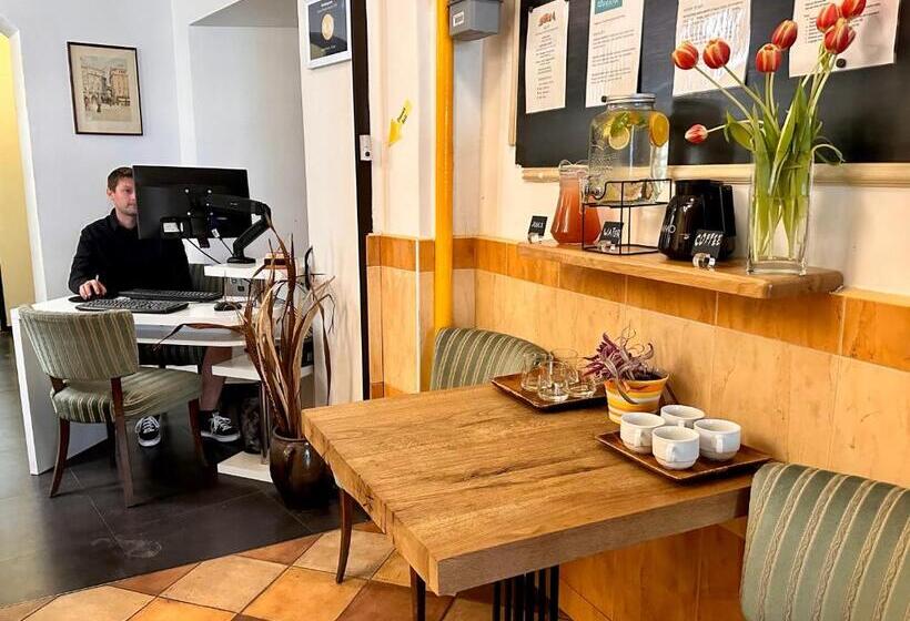 استودیوی استاندارد, Pension Sklep