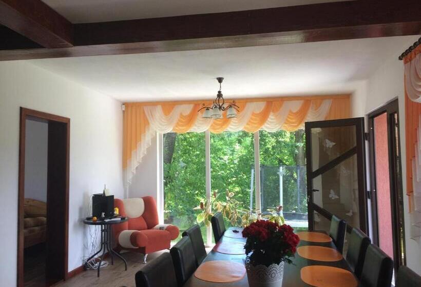 חדר סטנדרט, Pensiunea 7 Brazi