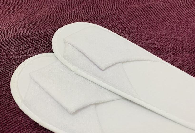 스탠다드 룸, Tachikawa Urban Hotel Main