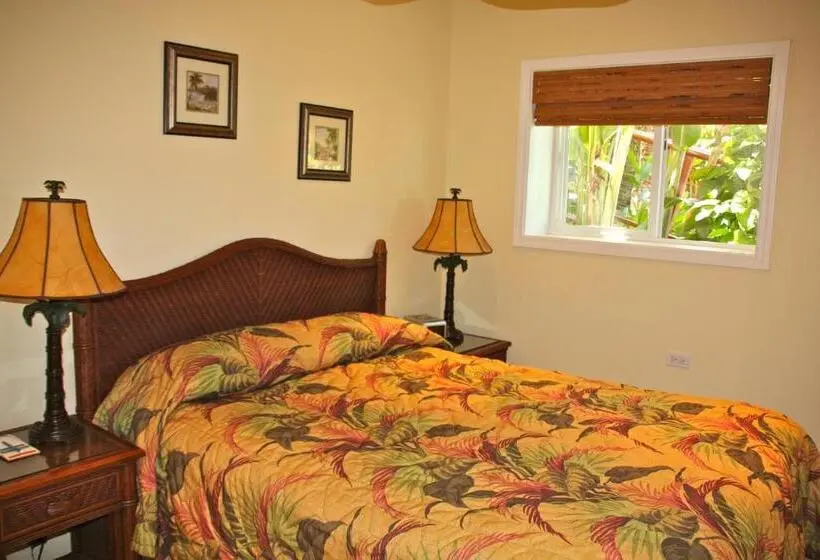 デラックスルーム, Maui Beach House B & B