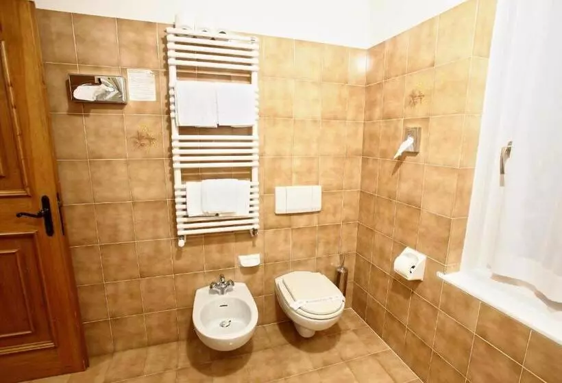 Economy Triple Room, Des Alpes