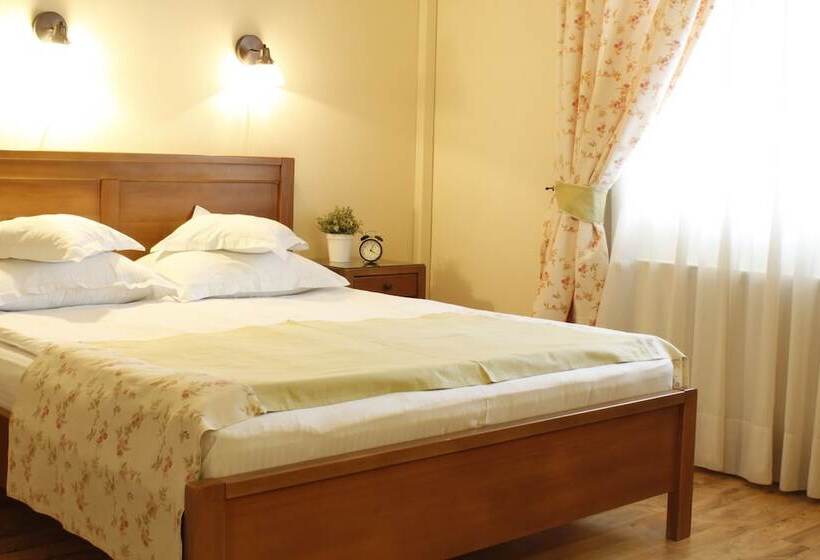 اتاق سوپریور, Vila Toparceanu Otopeni