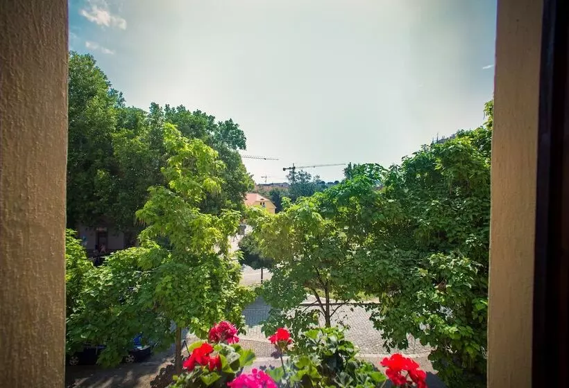 اتاق استاندارد یک نفره, Pension City