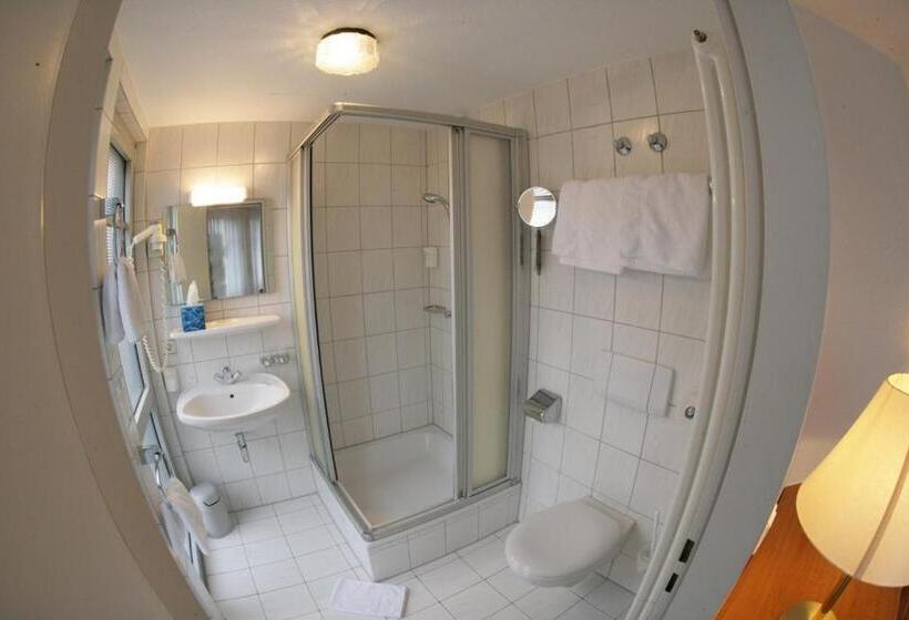 اتاق اکونومی یک تخته, Alfa Hotel   Superior