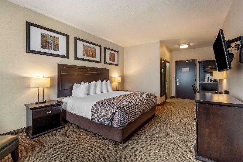 Camera Standard, Giardino Inglese