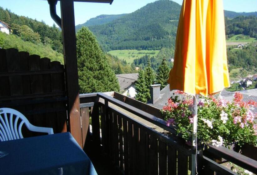 스탠다드 룸, Schauinsland