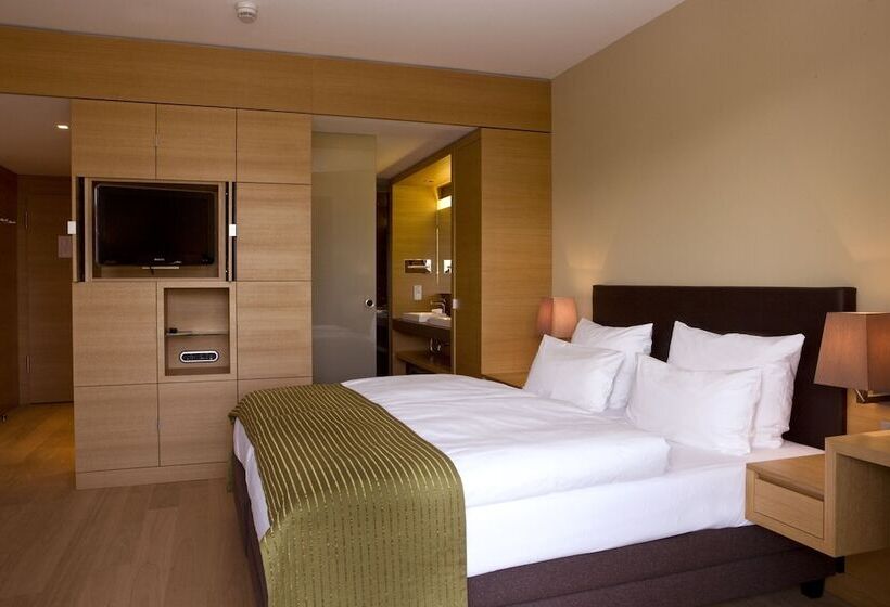 高级大房间, Schlossgut Gross Schwansee