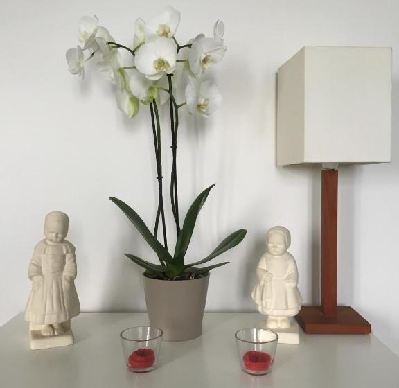 דירת חדר נוף לים, Appartement Design I   Port Du Rosmeur   Douarnenez