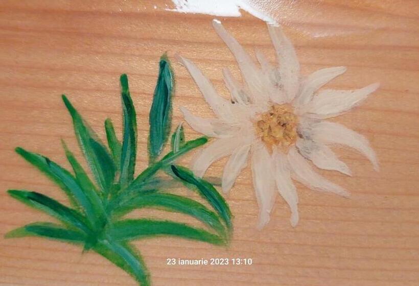 اتاق استاندارد سه تخته با سرویس بهداشتی مشترک, Pensiunea Dana