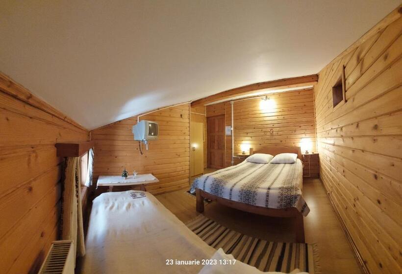 اتاق استاندارد سه تخته با سرویس بهداشتی مشترک, Pensiunea Dana