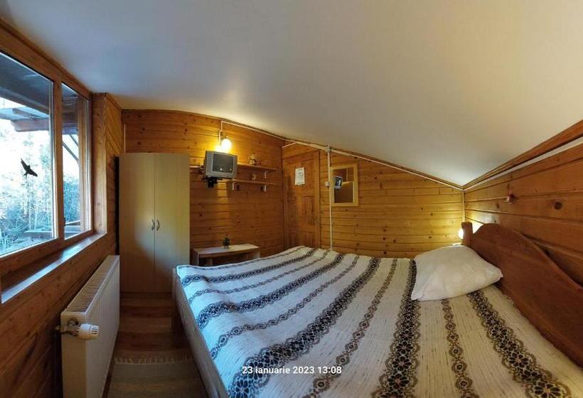 اتاق استاندارد با سرویس بهداشتی مشترک, Pensiunea Dana