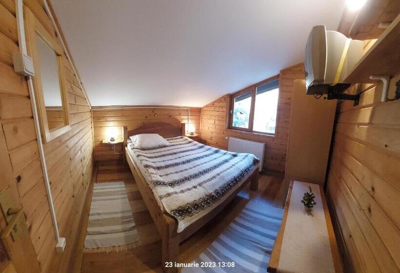 اتاق استاندارد با سرویس بهداشتی مشترک, Pensiunea Dana