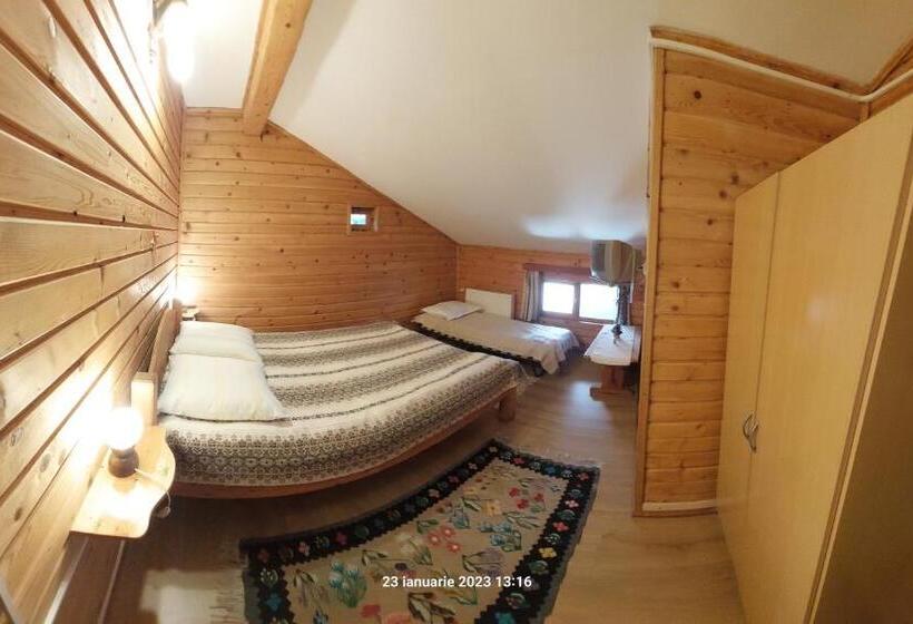 ویلای 1 خوابه, Pensiunea Dana