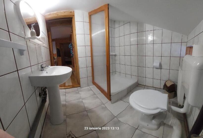 ویلای 1 خوابه, Pensiunea Dana