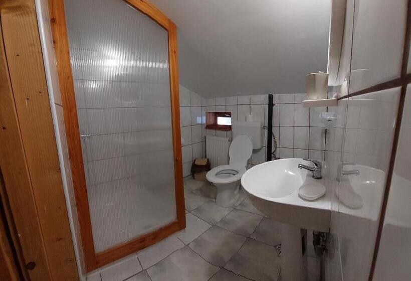 ویلای 1 خوابه, Pensiunea Dana