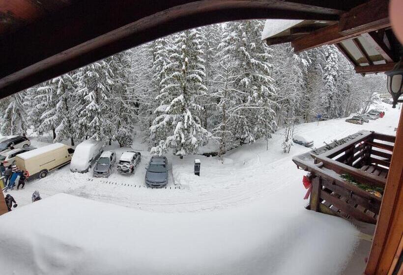 آپارتمان 3 خوابه, Pensiunea Dana