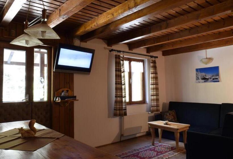 آپارتمان 3 خوابه, Pensiunea Dana