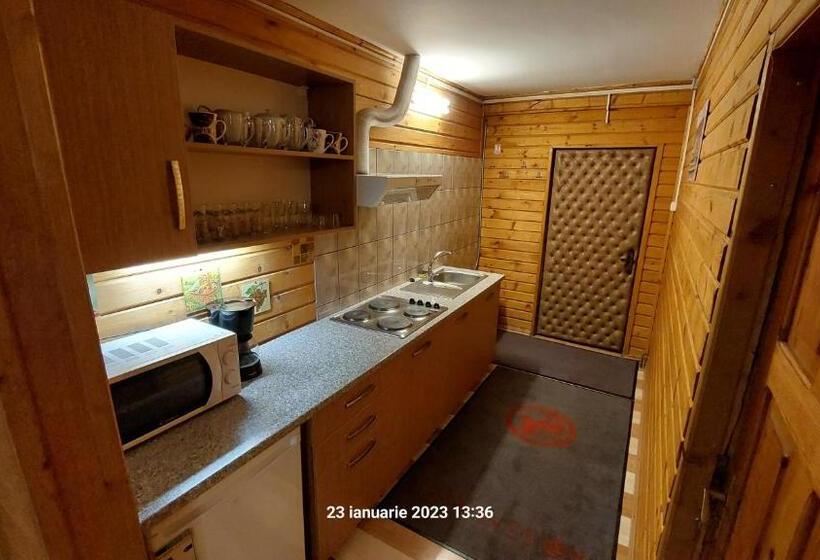 اتاق استاندارد سه تخته با سرویس بهداشتی مشترک, Pensiunea Dana