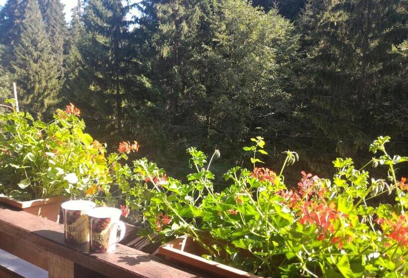 ویلای 1 خوابه, Pensiunea Dana