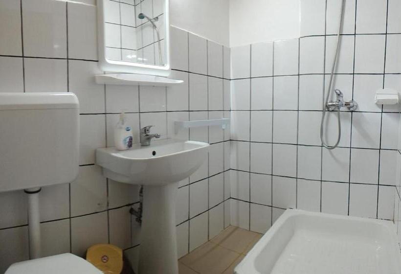 ویلای 1 خوابه, Pensiunea Dana