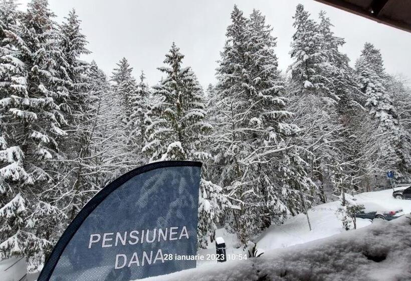 ویلای 1 خوابه, Pensiunea Dana