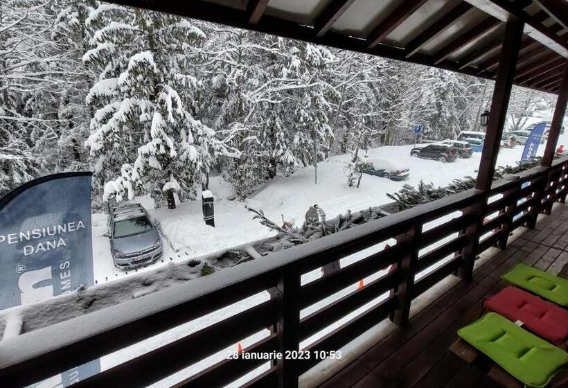 ویلای 1 خوابه, Pensiunea Dana