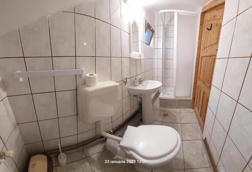 آپارتمان 2 خوابه, Pensiunea Dana