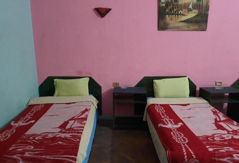 اتاق استاندارد با سرویس بهداشتی مشترک, African House Hostel