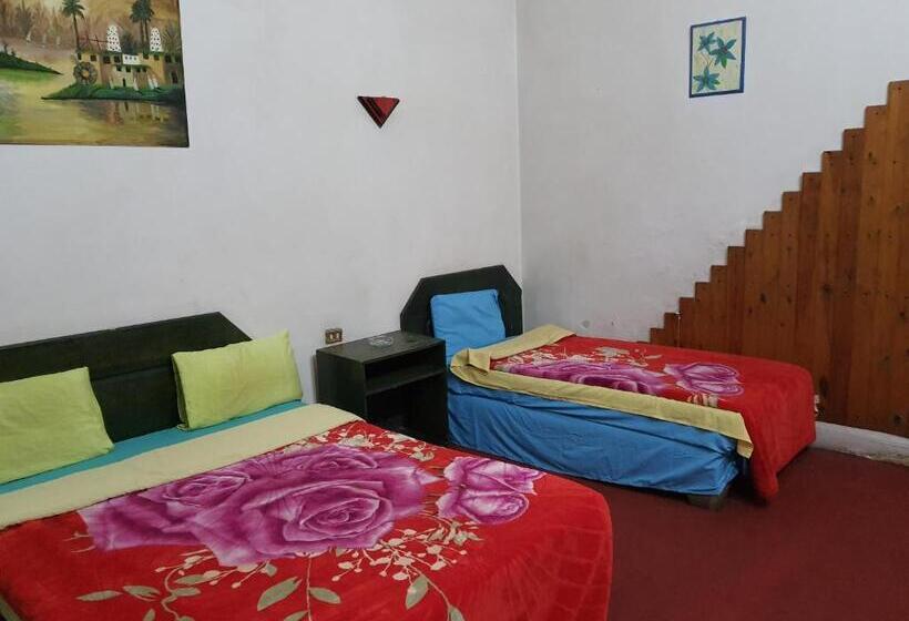 اتاق استاندارد, African House Hostel
