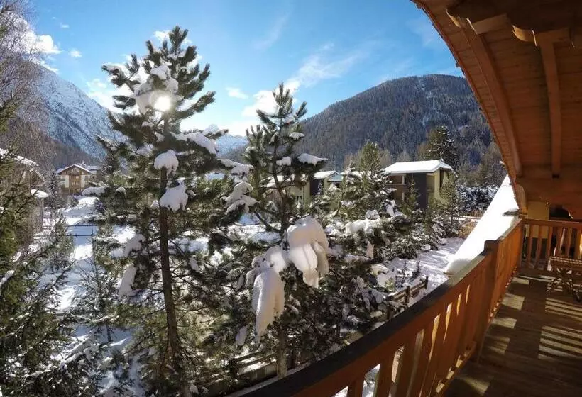 آپارتمان 3 خوابه, Chalet Alpina Hotel & Apartments