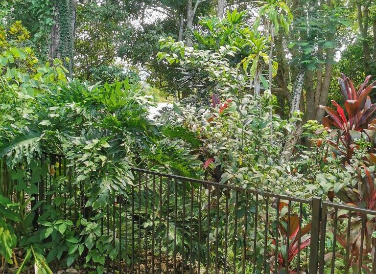 带大床的标准间, Gallery Motel