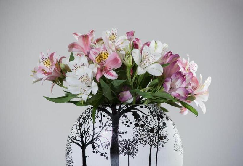 스탠다드 룸, Grand Hôtel Les Endroits