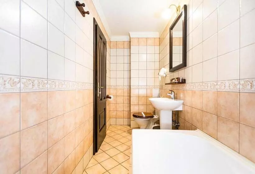 Camera Standard Letto King, Koronna Inn